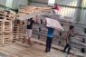 KPU Karawang siapkan ratusan TPS cadangan antisipasi bencana banjir