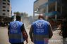 UNRWA: Ratusan pengungsi tewas saat berlindung di bawah PBB
