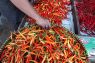 Harga cabai rawit merah di Tanjungpandan naik