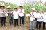 Diversifikasi pangan, Tangerang tingkatkan produksi jagung pulut