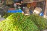 Harga cabai rawit di Aceh Barat tembus Rp250 ribu/kg, cabai merah Rp200 ribu/kg