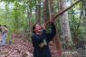Napas panjang Yuliana Wetuq dan tujuh penjaga terakhir Hutan Wehea