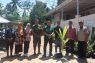 Pemkab Kuningan salurkan bantuan bibit kelapa genjah ganti komoditas sawit