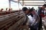 Kapolda dan Wakapolda Kaltara Tinjau Budidaya Ayam Petelur di Desa Tanjung Agung