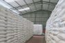 Bulog Sulteng targetkan serap 11.000 ton beras lokal pada 2026
