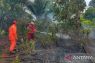 BPBD Belitung berhasil padamkan kebakaran lahan gambut