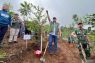 Pemkab Bogor canangkan 220 hektare hutan kota, hulu Ciliwung prioritas