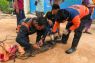 BPBD Bintan evakuasi seekor buaya terjerat alat pancing