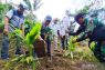 PWI Kudus tanam pohon di kawasan Pegunungan Muria