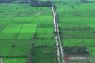 35 daerah irigasi di Kaltim dibenahi demi swasembada