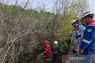 Pertamina Patra Niaga investigasi penyebab mangrove mati di Benoa, Bali