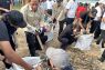 Menteri LH tetapkan mulai April sampah organik tak boleh masuk TPA Suwung Bali