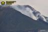 Vegetasi di sekitar kawah Gunung Iya di Ende terbakar