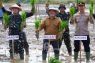 Berau tambah 100 hektare sawah demi ketahanan pangan