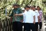 Kemenhut dan Kabupaten Penajam kerja sama kembangkan ekowisata mangrove