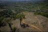 Permenhut karbon didorong perkuat perlindungan hutan dan warga