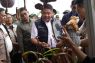 Gubernur Herman Deru ajak generasi muda jaga kelestarian hutan