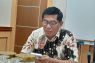 Gandeng Pemkot dan BKHIT, Distan Maluku perketat pengawasan hewan kurban di Ambon