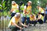 Menyulam alam, mewujudkan IKN kota hutan dunia