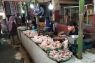 Pasokan banyak, harga daging ayam di Mataram turun