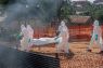 WHO: 75 nakes di Kongo terinfeksi Ebola, 17 meninggal