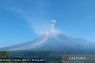 Tinggi letusan erupsi Gunung Semeru hingga 1,3 km di atas puncak