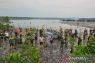 DLH Natuna tanam 1.000 bibit mangrove