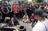 Gubernur Kalteng temui PLN bawa keresahan masyarakat