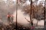 BPBD Muara Enim: Karhutla di Sungai Rotan masih berasap