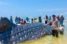 Hiu Paus sepanjang 9,17 meter ditemukan mati terdampar di perairan Wakatobi