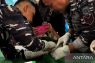 Sambut HUT TNI, Kodaeral IX Ambon beri layanan kesehatan masyarakat dan berikan manfaat
