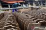 Perajin genteng Purwakarta dilibatkan pada program Gentengisasi