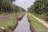 Menang Praperadilan, Polda Riau lanjutkan penyidikan jual beli lahan kawasan hutan di Rohil