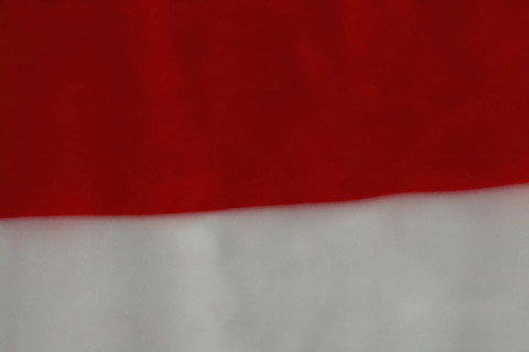 BULU TANGKIS MEDALI GANDA PUTRA INDONESIA