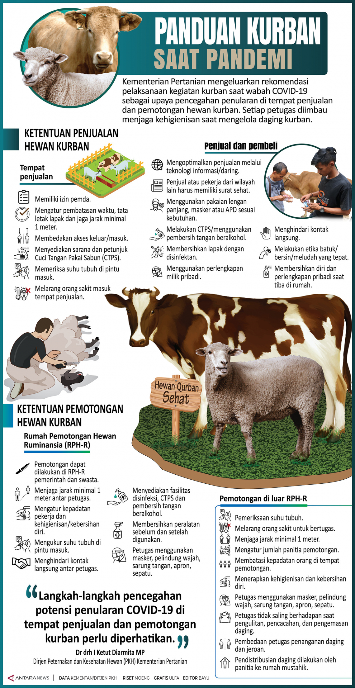 Panduan kurban saat pandemi