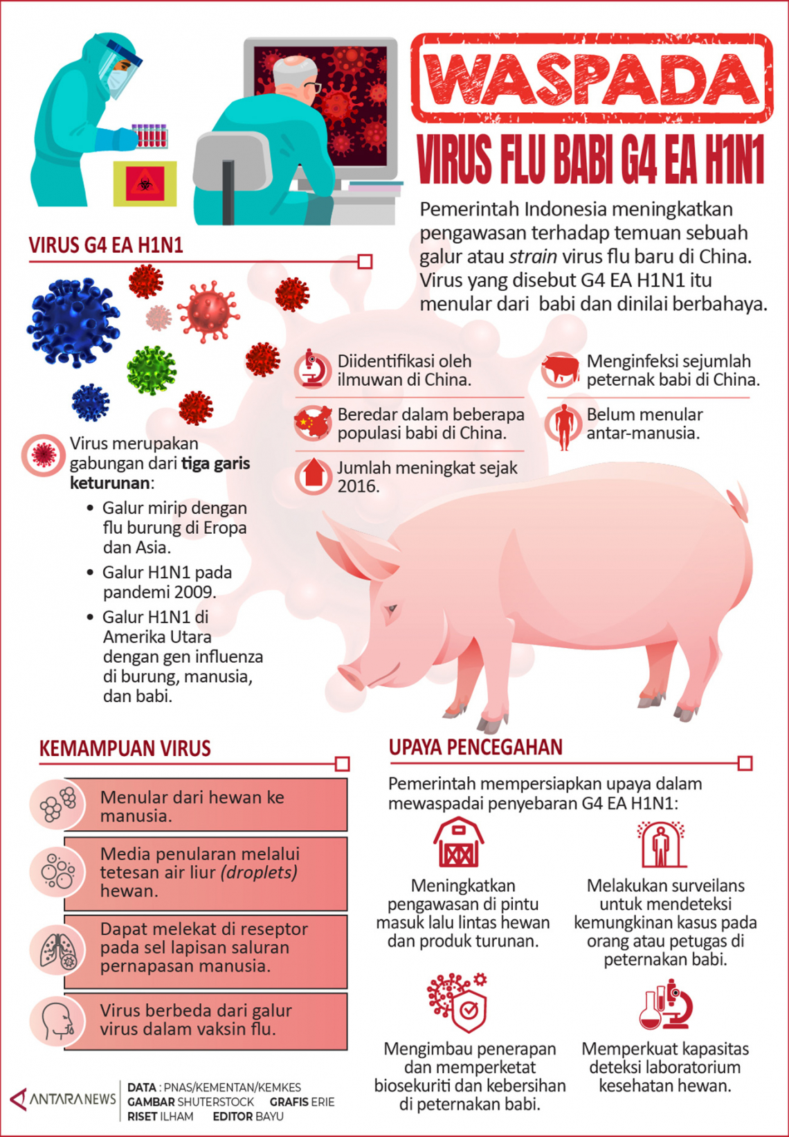 Waspada virus flu babi G4 EA H1N1
