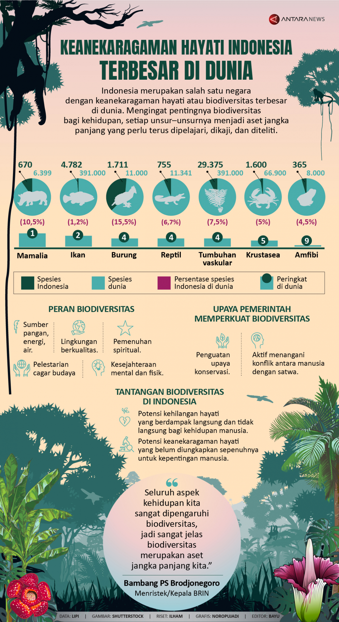 Keanekaragaman hayati Indonesia