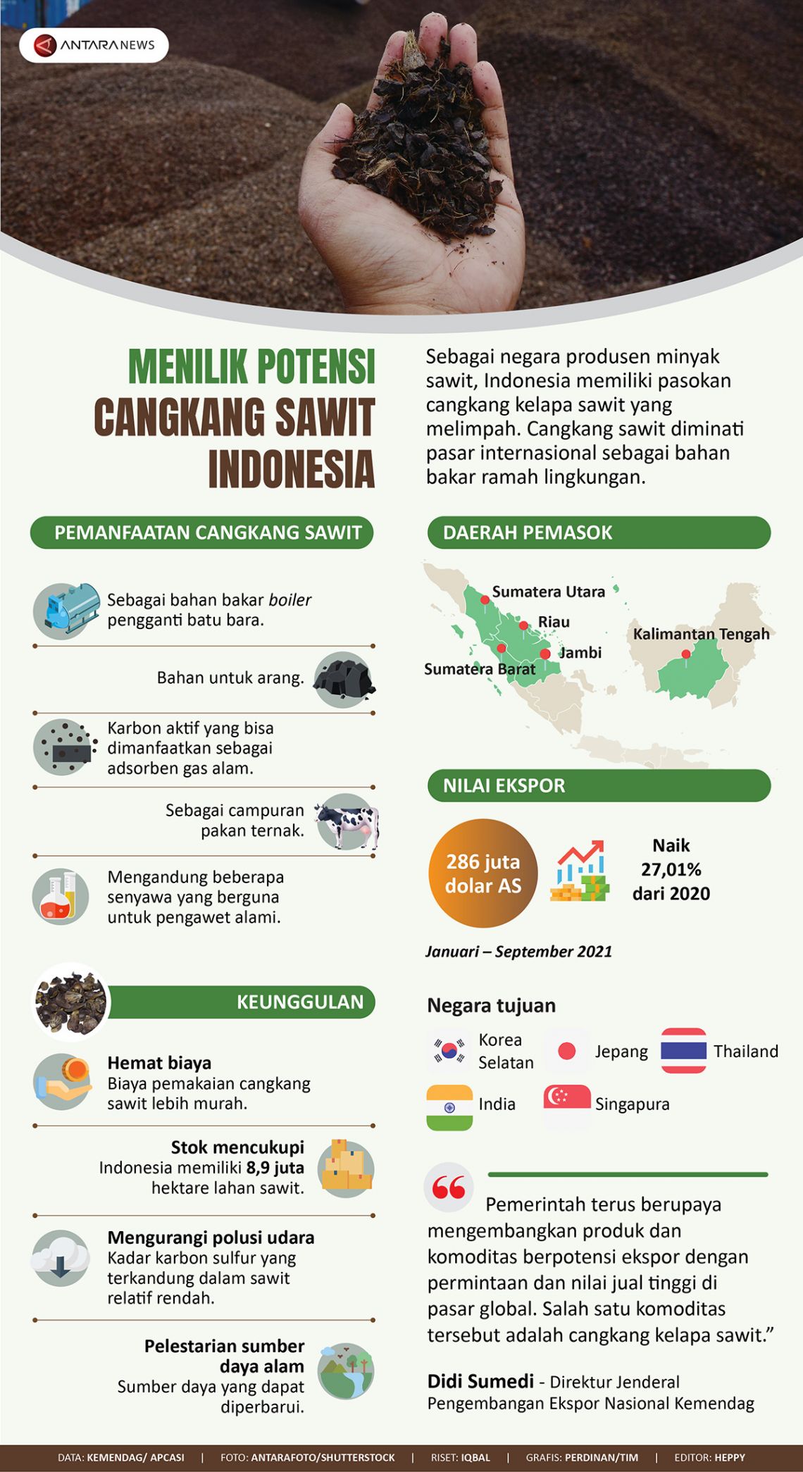Menilik potensi cangkang sawit Indonesia