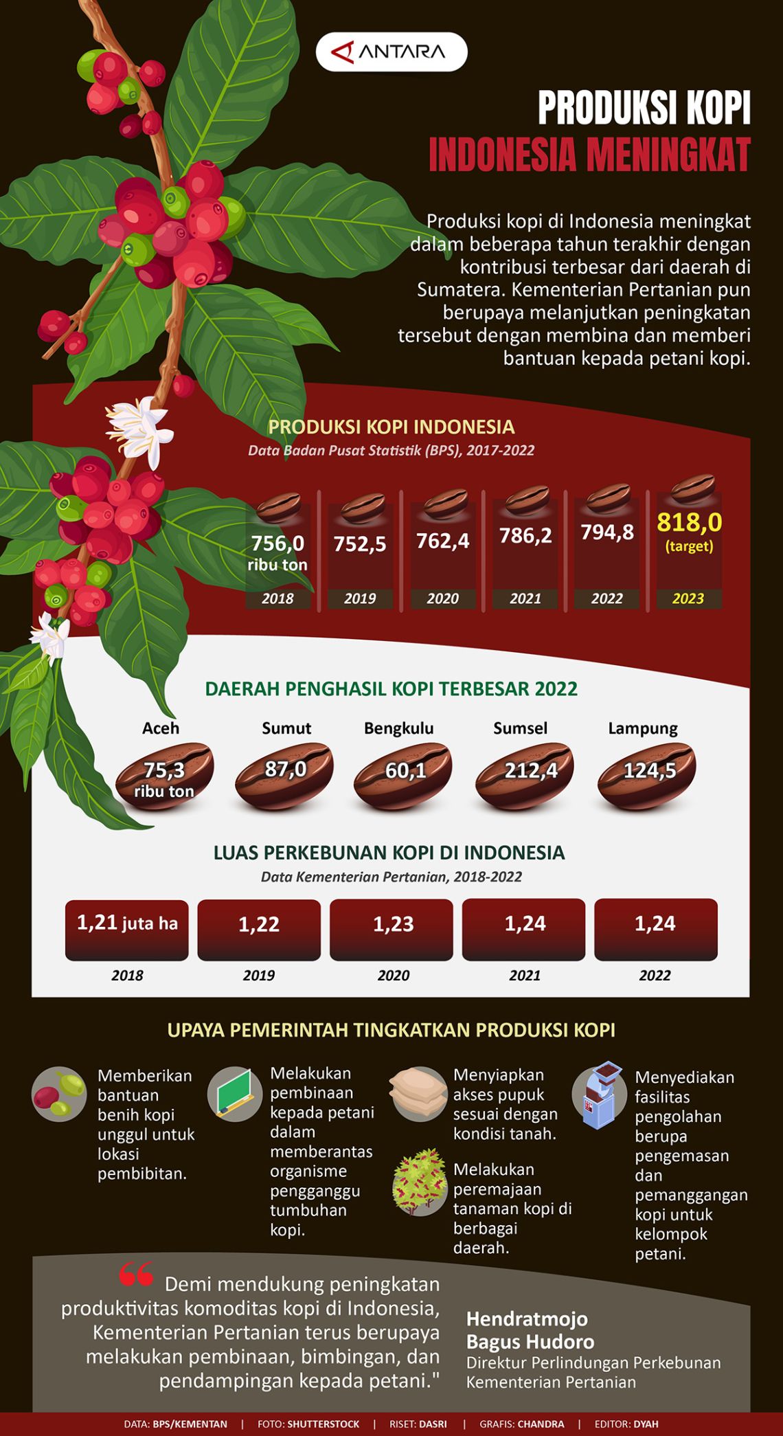 Produksi Kopi Indonesia Meningkat Infografik Antara News 0632