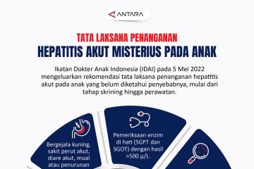Tata laksana penanganan hepatitis akut misterius pada anak