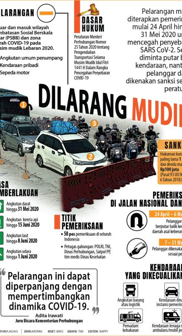 Dilarang mudik