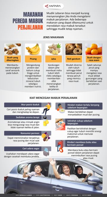 Makanan pereda mabuk perjalanan