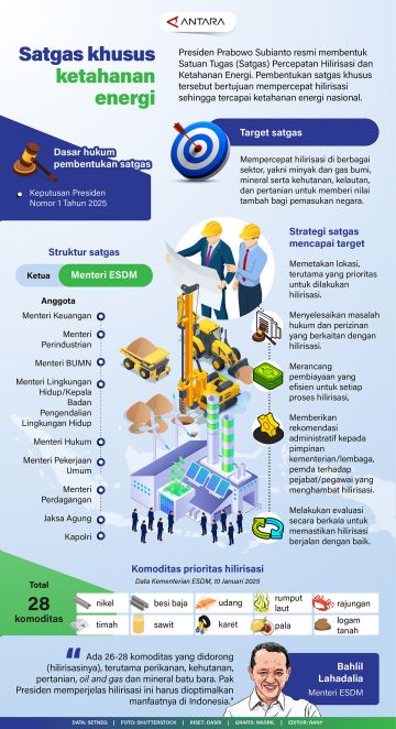 Satgas spesifik ketahanan energi