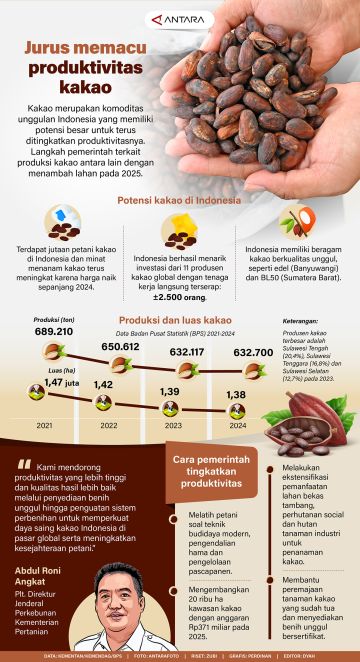 Jurus memacu produktivitas kakao