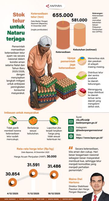 Stok telur untuk Nataru terjaga