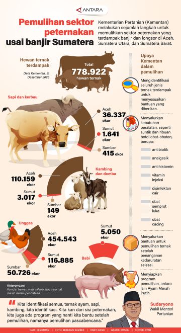Pemulihan sektor peternakan usai banjir di Sumatera