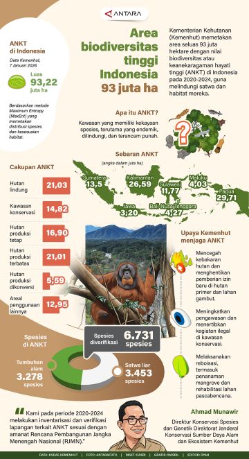 Area biodiversitas tinggi Indonesia 93 juta ha
