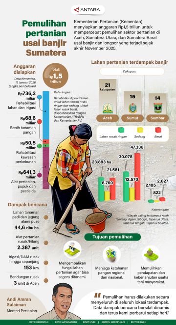 Pemulihan pertanian usai banjir Sumatera