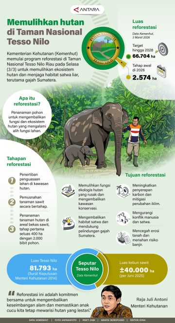 Memulihkan hutan di Taman Nasional Tesso Nilo