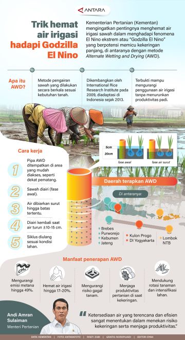 Trik hemat air irigasi hadapi Godzilla El Nino